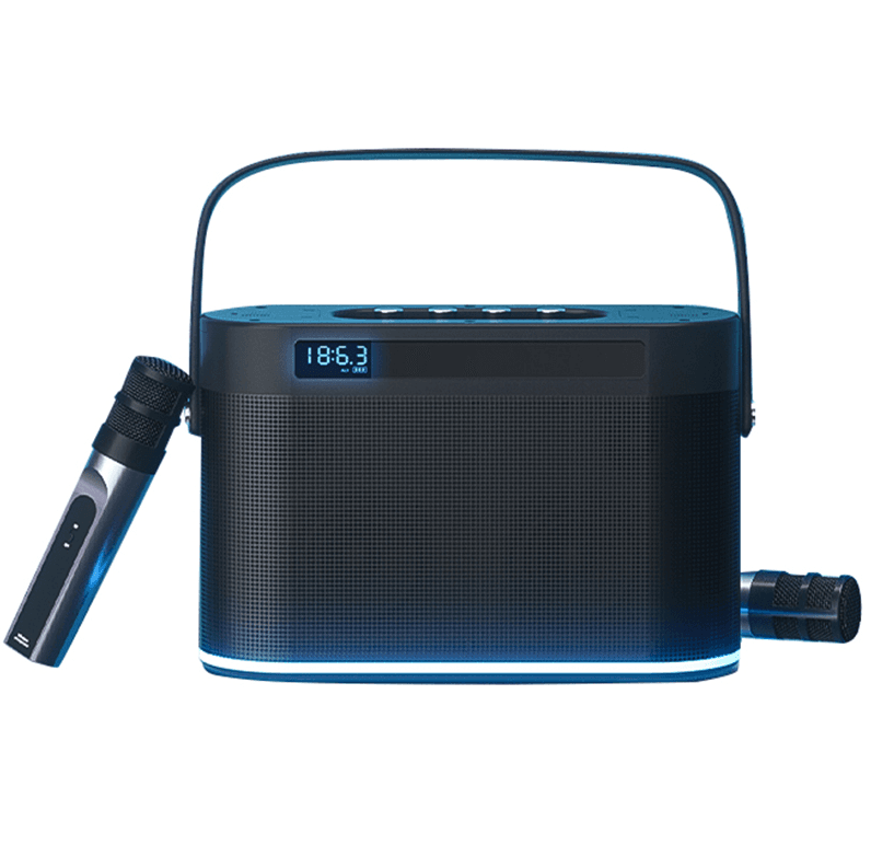 RM016 音响麦克风套装